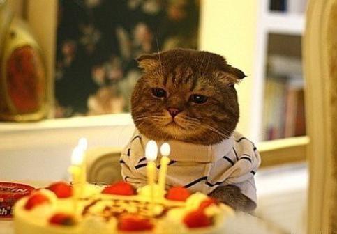 今天是你的生日