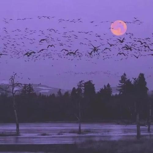 生活中有太多无助的选择