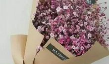 对爱请失望的句子子