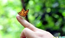 三毛最经典的话 三毛的名句和经典语录