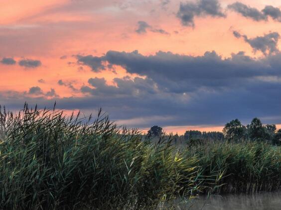 您会发现有些事情直到您有空才珍惜