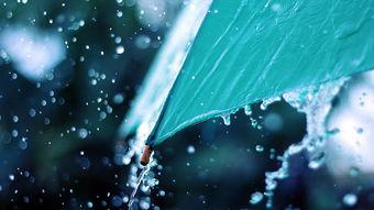 那些使您难过和伤心的人只关心您并且伤害您