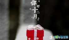 关于十二月的美句有哪些