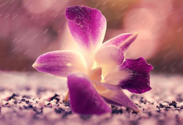 不要一直认为“将来为时已晚”