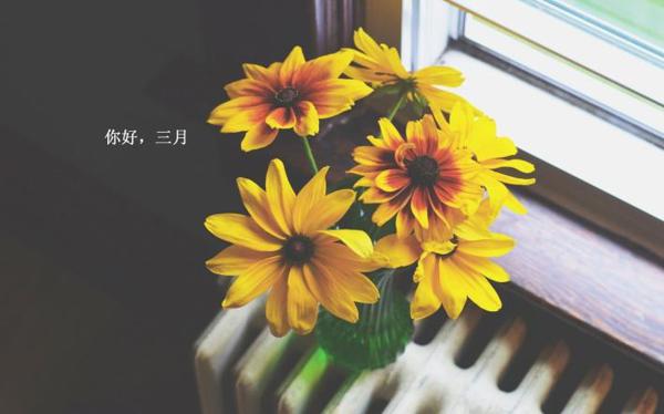 这是一个充满希望的季节