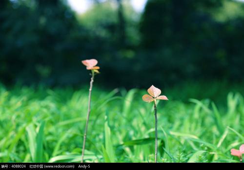 万物恢复很舒适