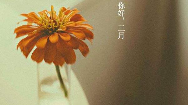  3月是一切刚刚开始恢复的时候