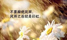 决定了就要去做的说说 认定的事就要坚持的说说