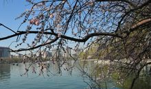 描写人物的好句子摘抄