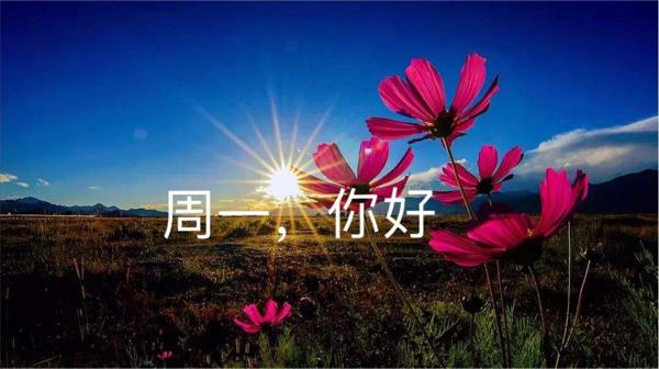 给你一个新的祝福周