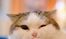 放开心态的句子看开点