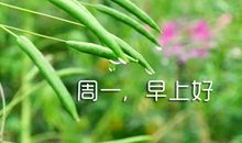 周一发朋友圈的句子和图片 周一正能量早安问候语