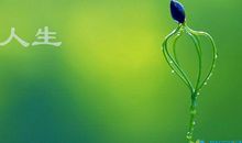 人生感悟的句子