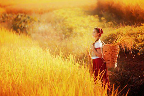 编辑编辑了一些关于人的快乐描述