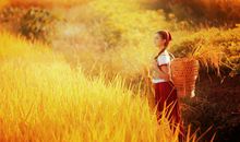 描写人具体的开心的句子