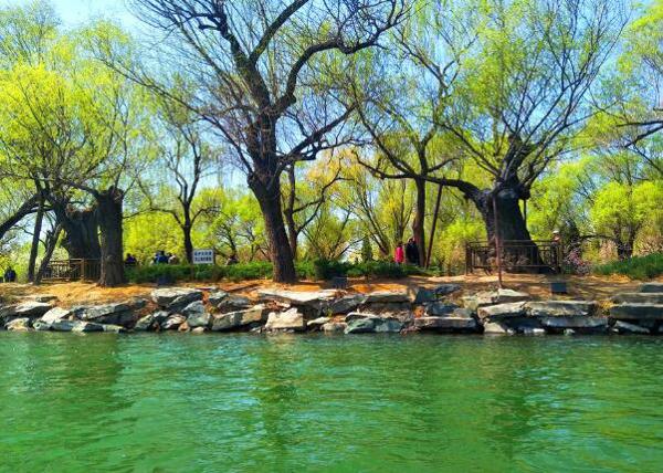 当天的计划在早晨