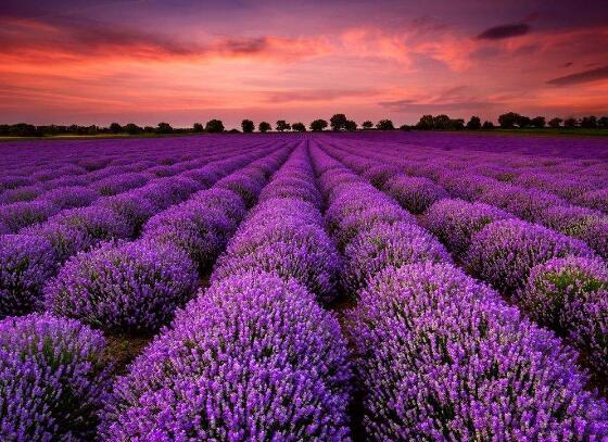   摘自除夕祝福的文字  1