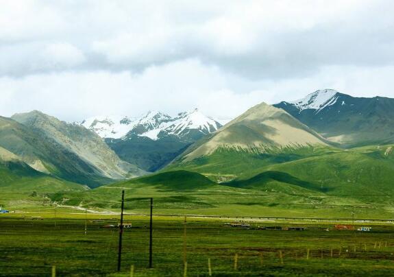 以下是小编编写的《关于丽春的句子》