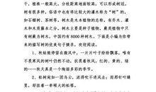 优美的句子摘抄大全