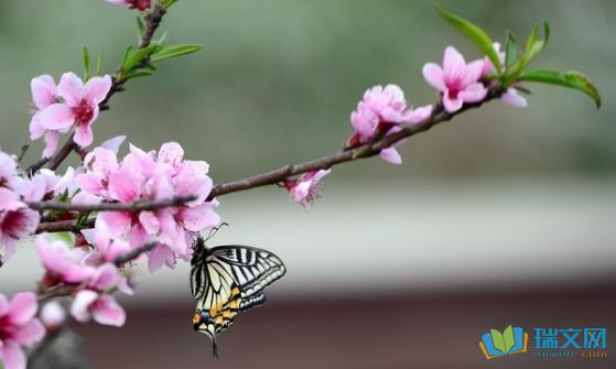 介绍性说明：我们一直沿绿色进行