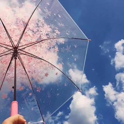 他对家人完全感到失望