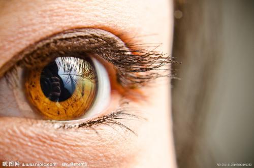 眼睛是人类的光芒