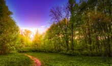 活着要开心的句子