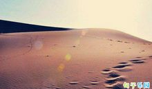 一身傲骨不认输的句子励志