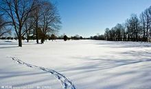 描写冬天景色的词语