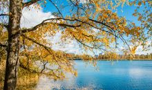 人生感悟的哲理句子有哪些