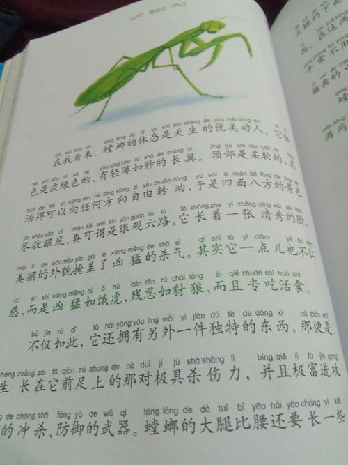  昆虫中优美的句子
 1