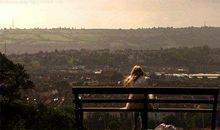 形容对工作很失望的句子