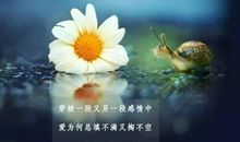 充满对这个世界失望的句子