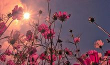 2020温暖说友情的说说句子精选