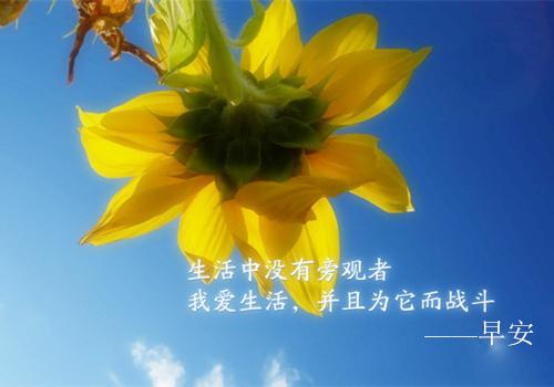 一万个美好的未来不值一个温馨的礼物