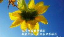 早上好一句话经典语录朋友圈