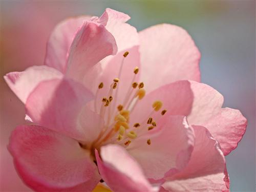 首先要把人们的生活和健康放在首位