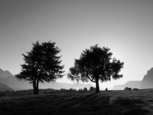 情绪在一夜之间变成灰烬