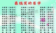 qq搞笑网名笑死人