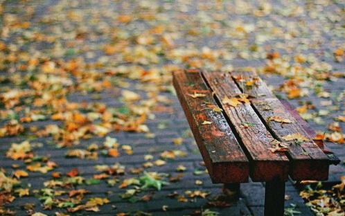    关于秋雨的美丽句子  1