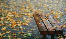 关于秋雨的优美句子