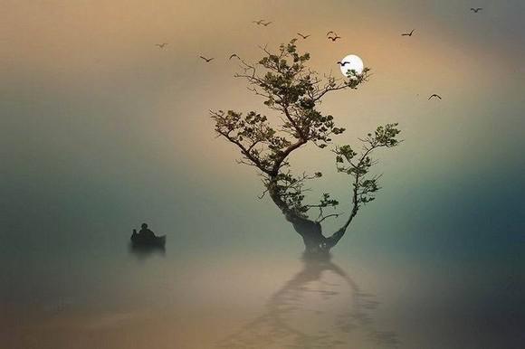    经典禅宗：想要快乐就必须看  1