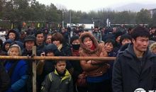 元宵节逗乐短信