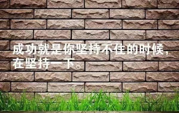 生活太苦了有时候你需要煮一碗鸡汤来激励自己前进[鸡汤经典励志名言]   1