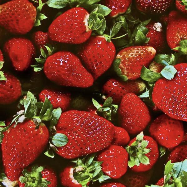 你的朋友圈是什么