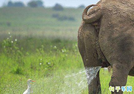 女孩说五分钟就是五分钟