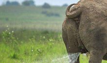 抖音爆笑文案 抖音搞笑段子文案