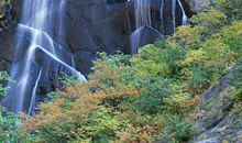 2020最新空间留言板励志句子