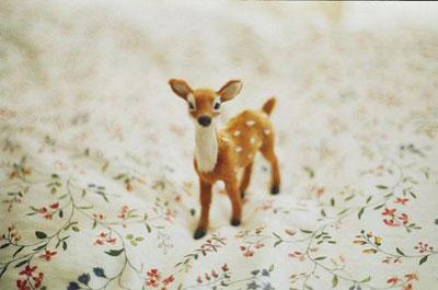 qq心情说说带图片 12