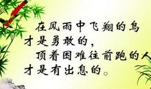 赞美春天的名言警句